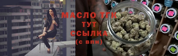 индика Арсеньев