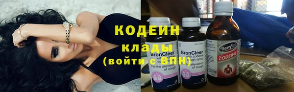 индика Арсеньев