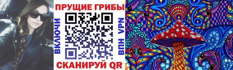 Псилоцибиновые грибы Cubensis  закладка  Отрадная 
